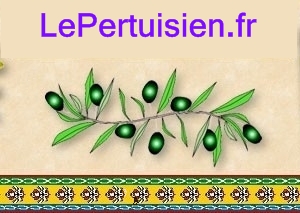 LePertuisien.fr